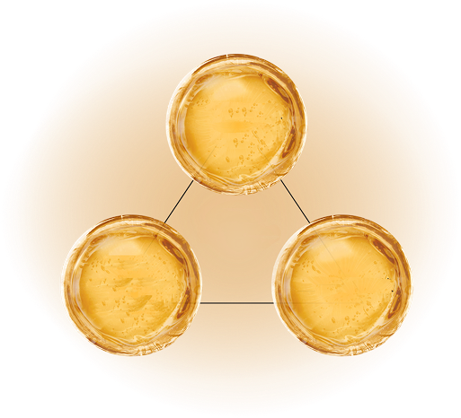 トリプルセラミド、ヒアルロン酸ヒドロキシプロピルトリモニウム、グリチルリチン酸2Kの図解
