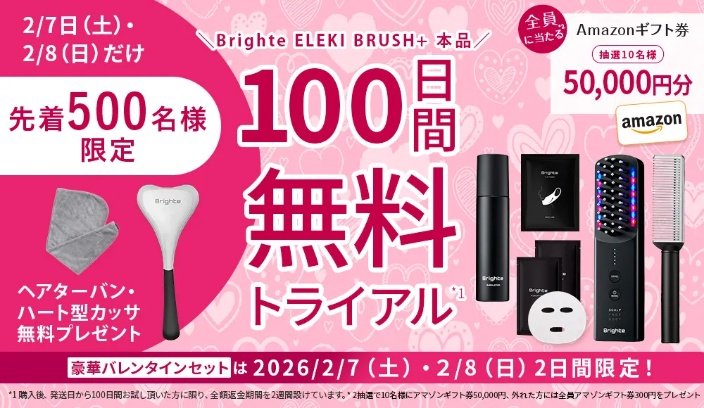 公式】ELEKI BRUSH PLUS