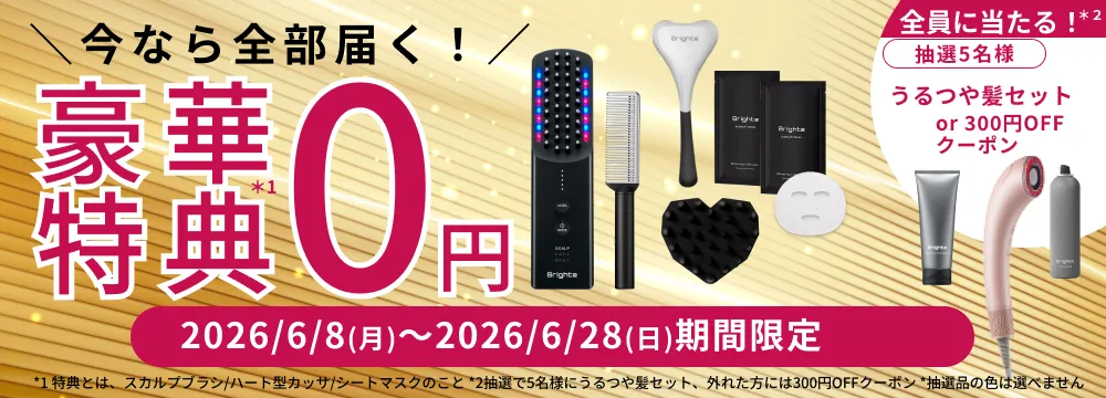 公式】ELEKI BRUSH PLUS