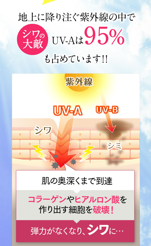 地上に降り注ぐ紫外線の中でUV-Aは95％も占めています！！