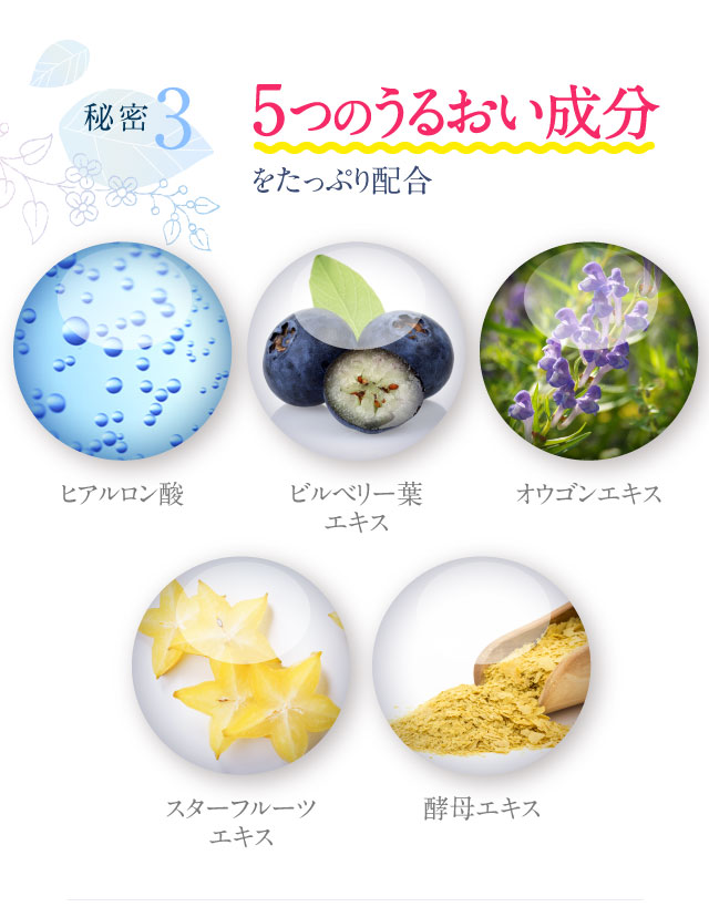 5つのうるおい成分