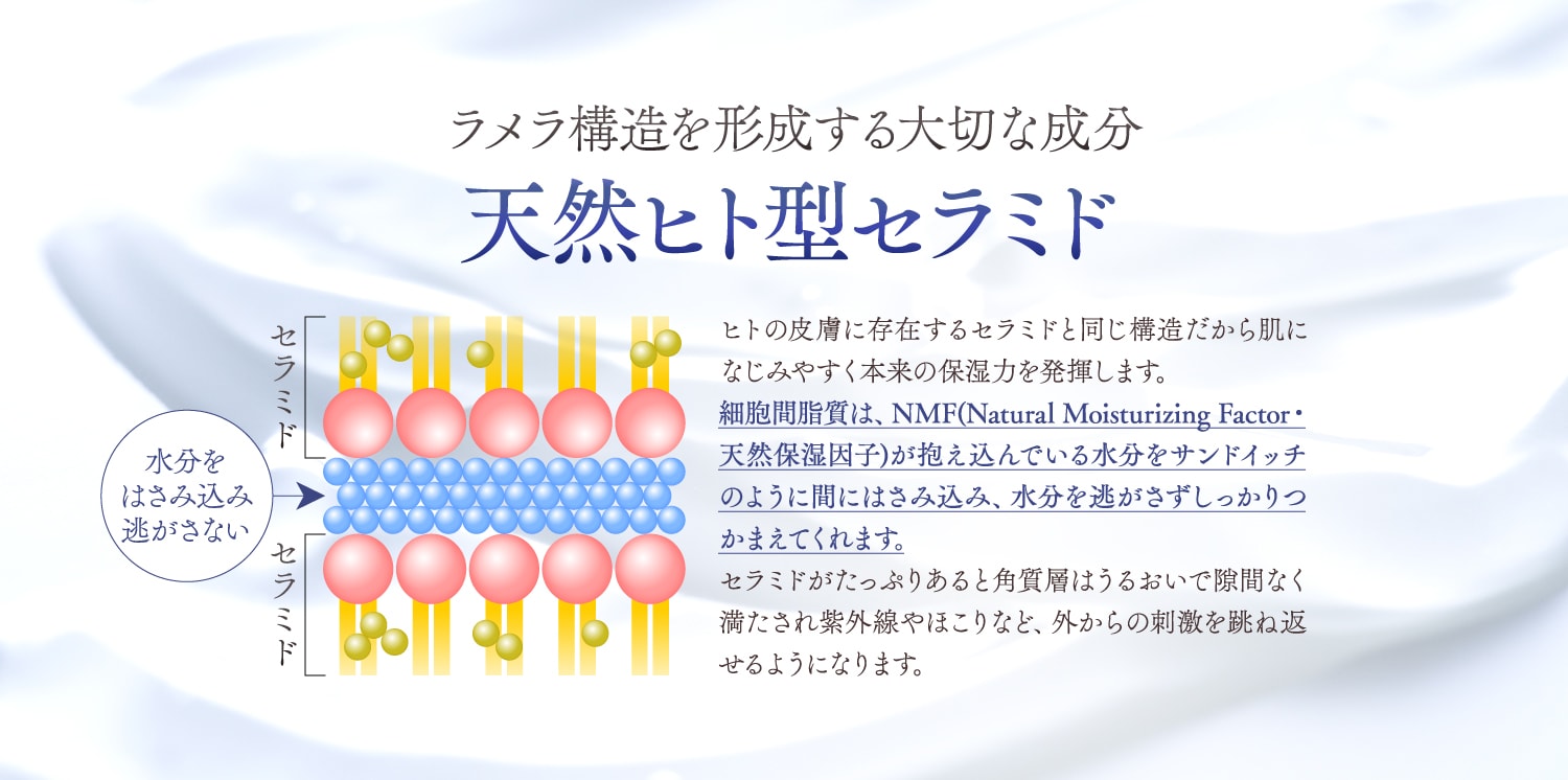 天然ヒト型セラミド