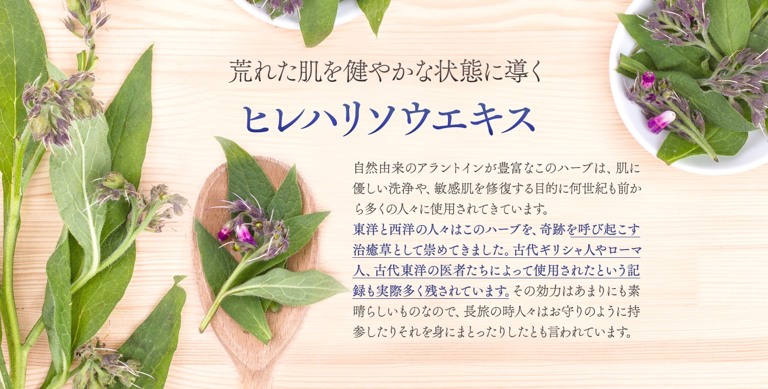 ヒレハリソウエキス