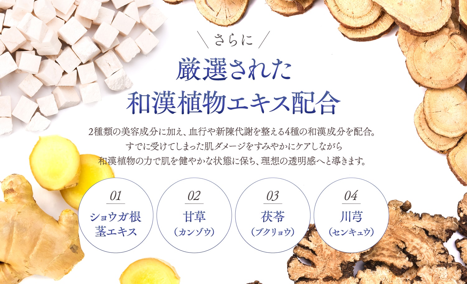 さらに厳選された和漢植物エキス配合