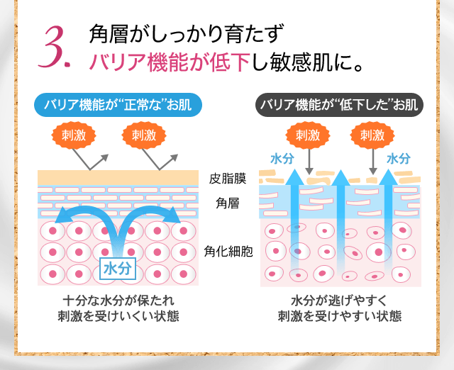 角層がしっかり育たずバリア機能が低下し敏感肌に。