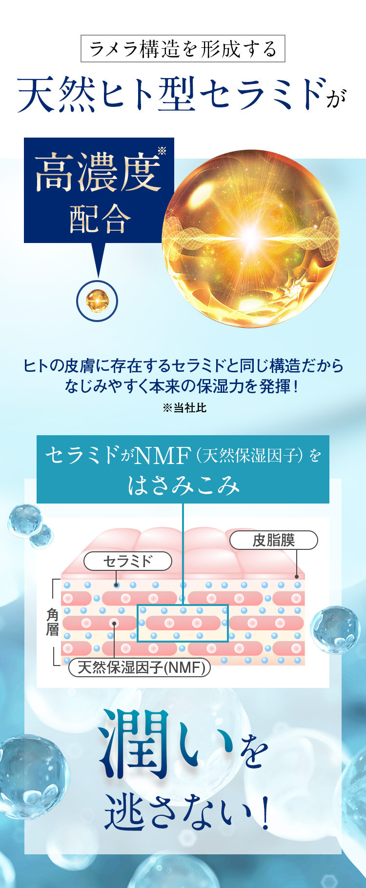 ラメラ構造を形成する天然ヒト型セラミドが100倍以上高濃度配合