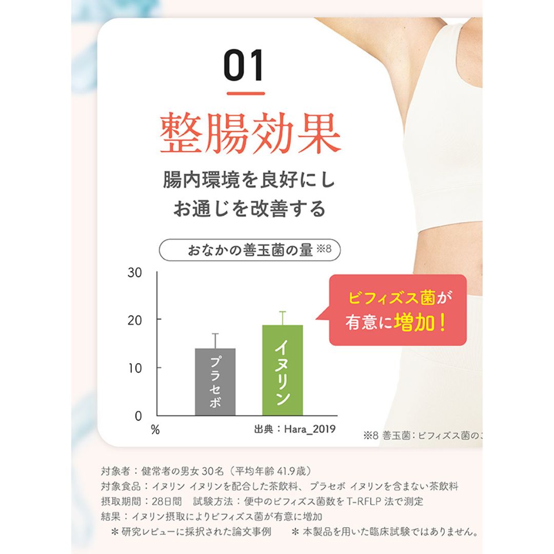 Inulina pure[単品］