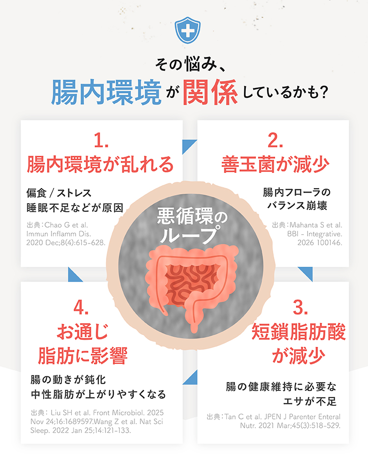 腸内環境 善玉菌 短鎖脂肪酸 説明画像