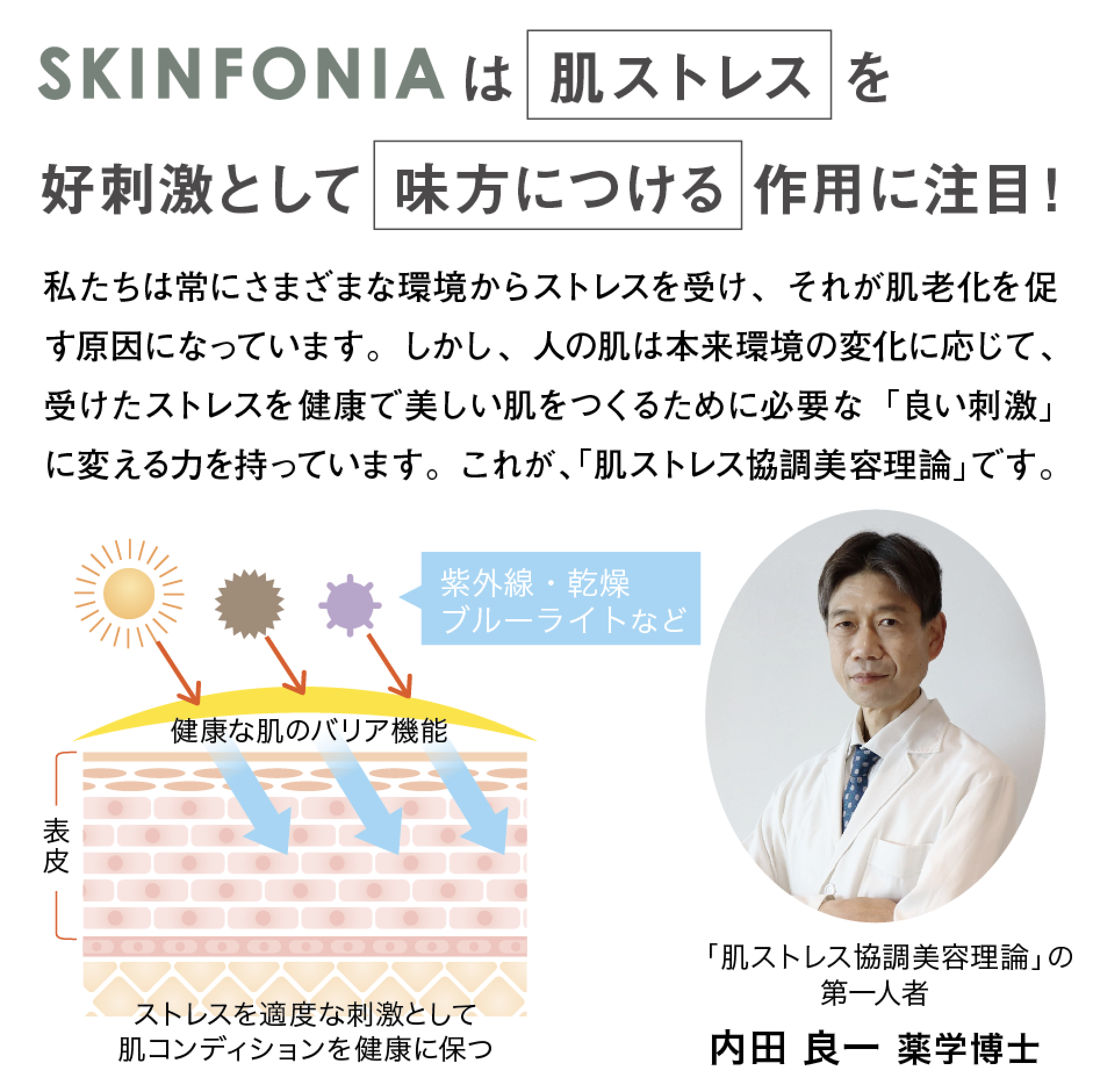 ダーマル モイスチャー クリーム