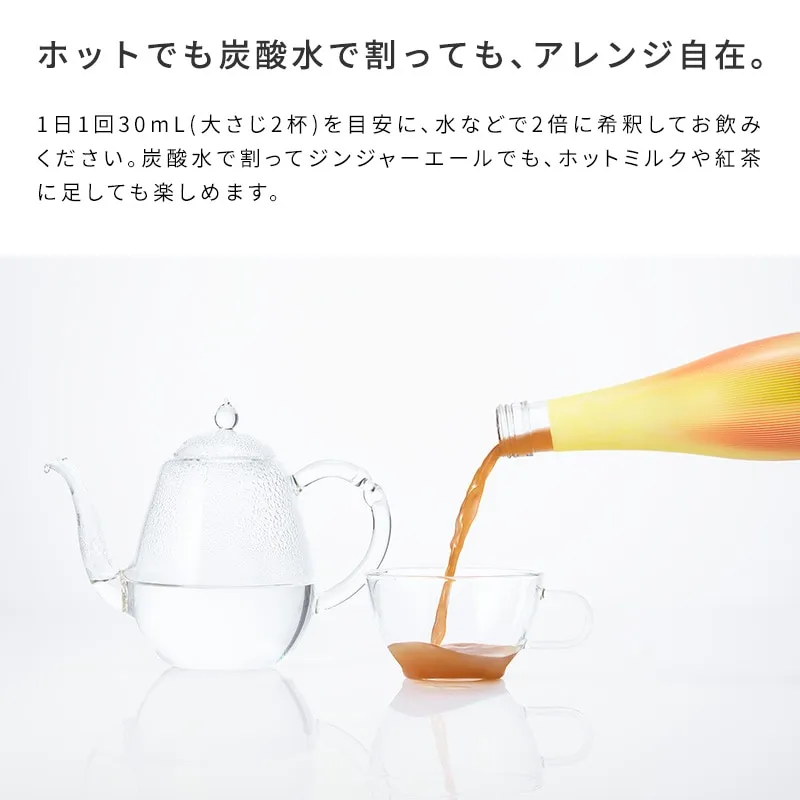 ReFa HEAT ON GINGER