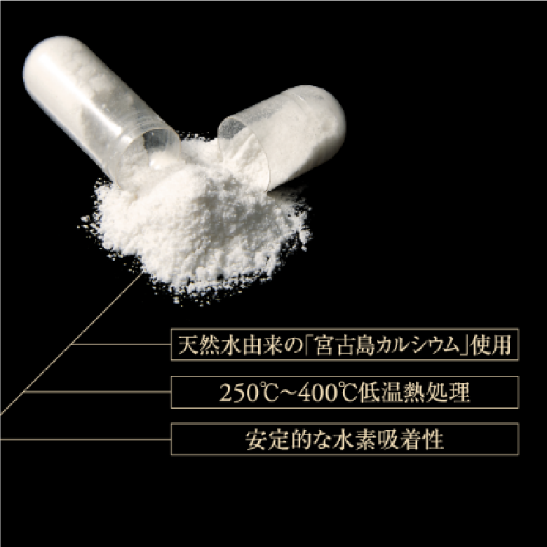 プロトングランプロ