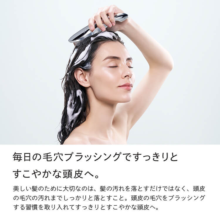 ReFa ION CARE BRUSH