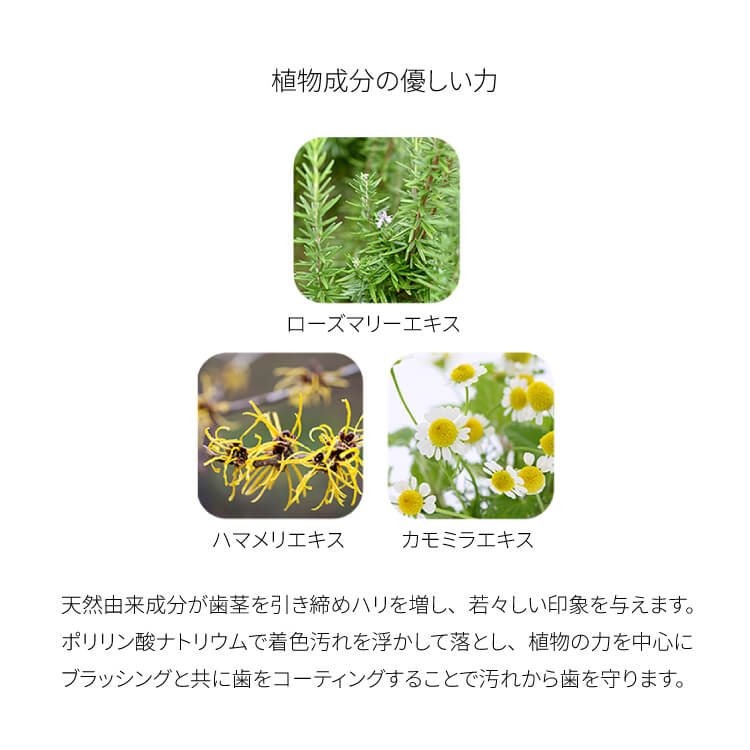 CO シャインホワイト