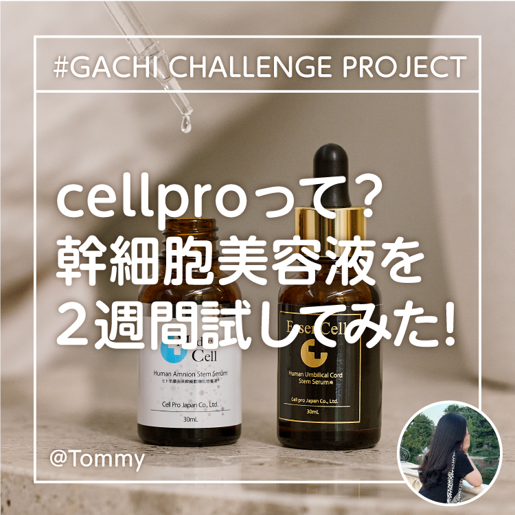 お知らせ画像