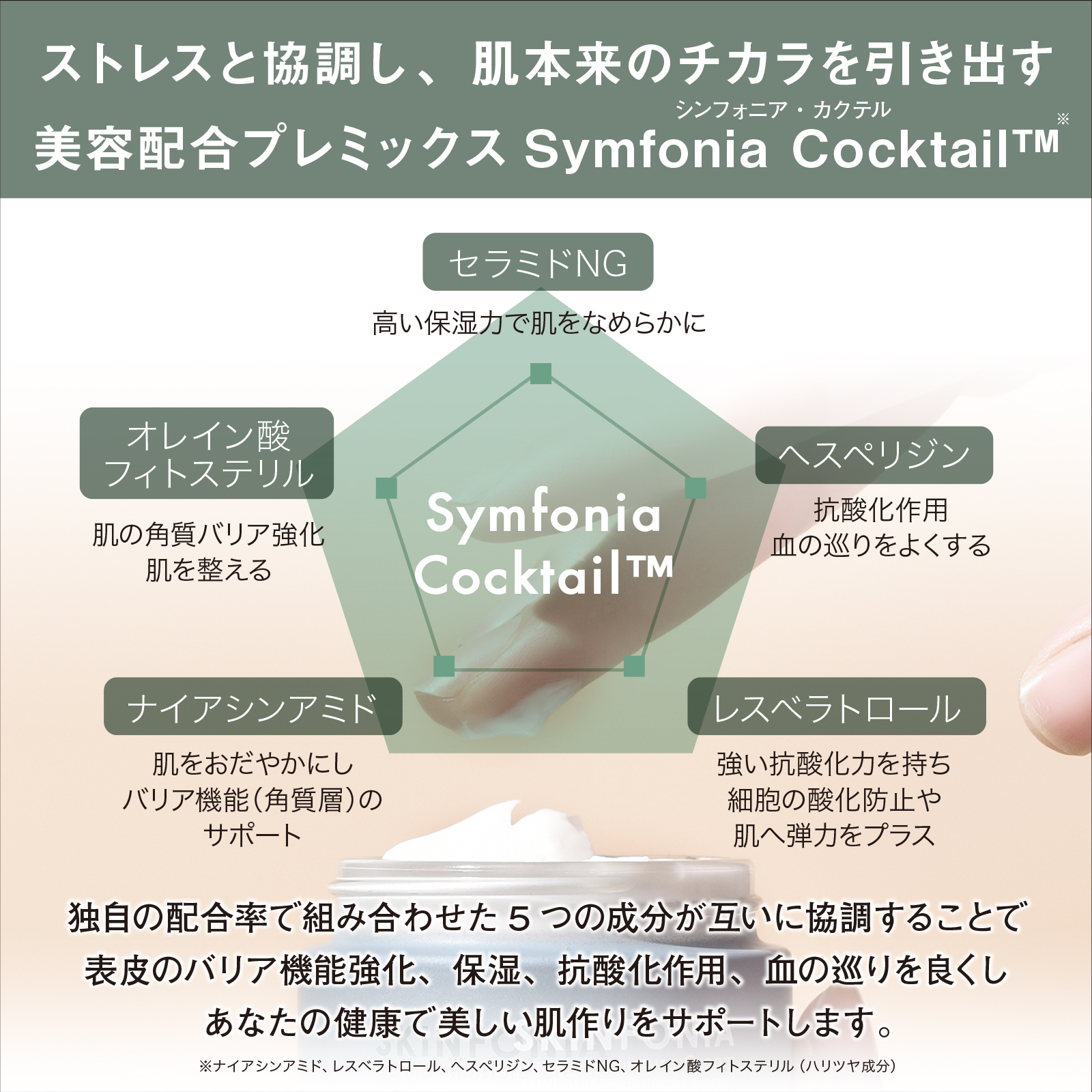 ダーマル モイスチャー クリーム