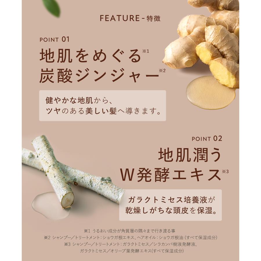 【日替わりトク市】BOTANIST ROOTH エイジングケア（シャンプー・トリートメント&オイル 3本）