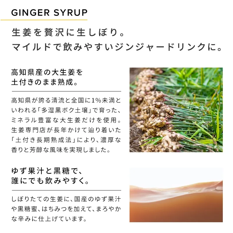 ReFa HEAT ON GINGER