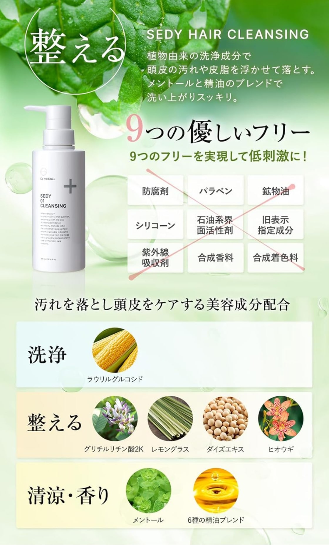 イメージ画像