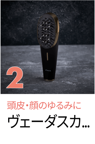 ヴェーダスカルプブラシ