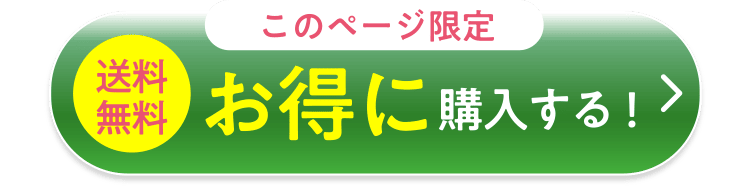 お得に購入する