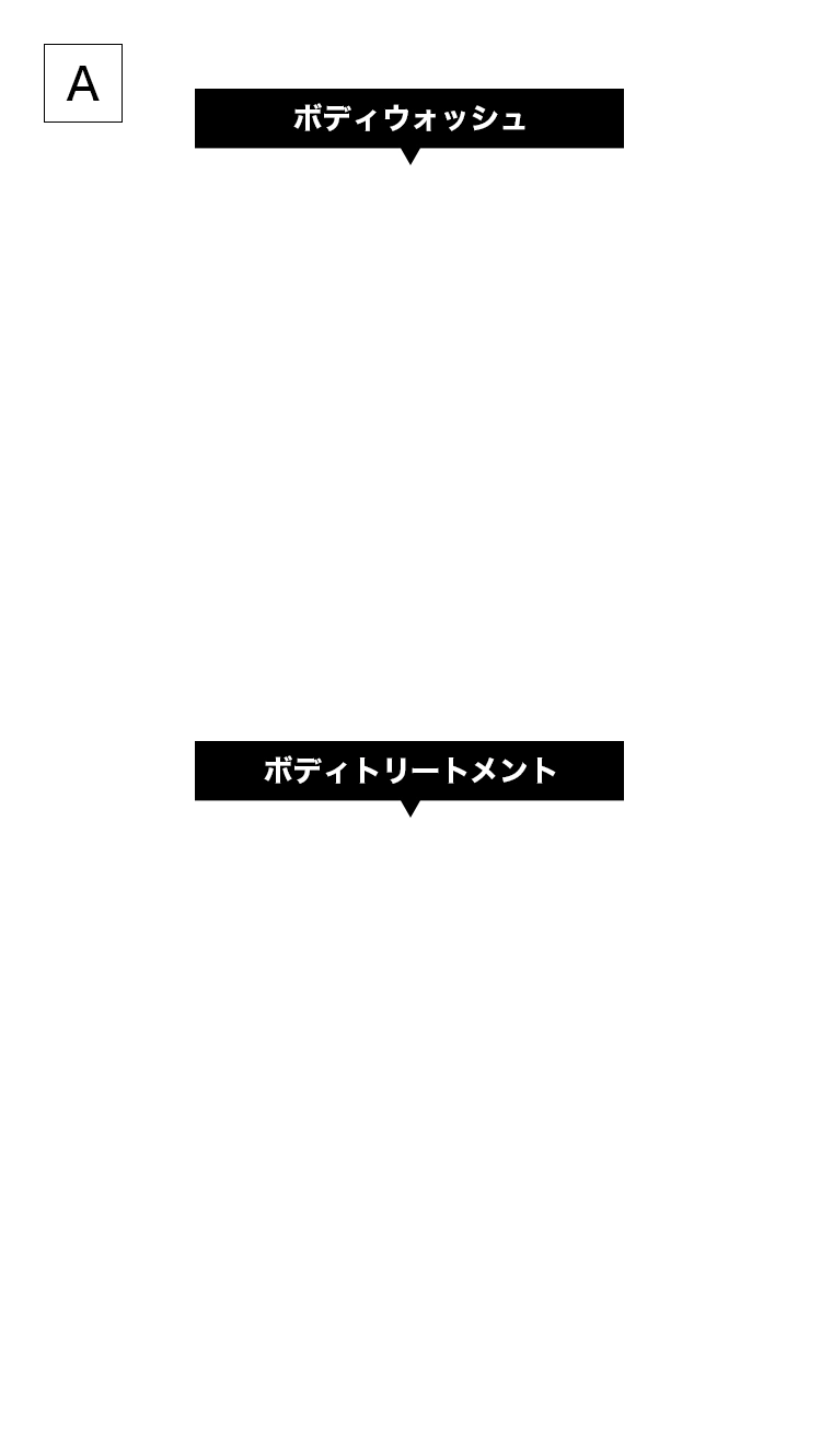 A2