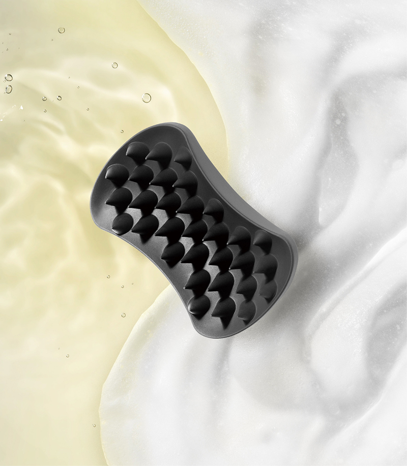THE SCALP BRUSH