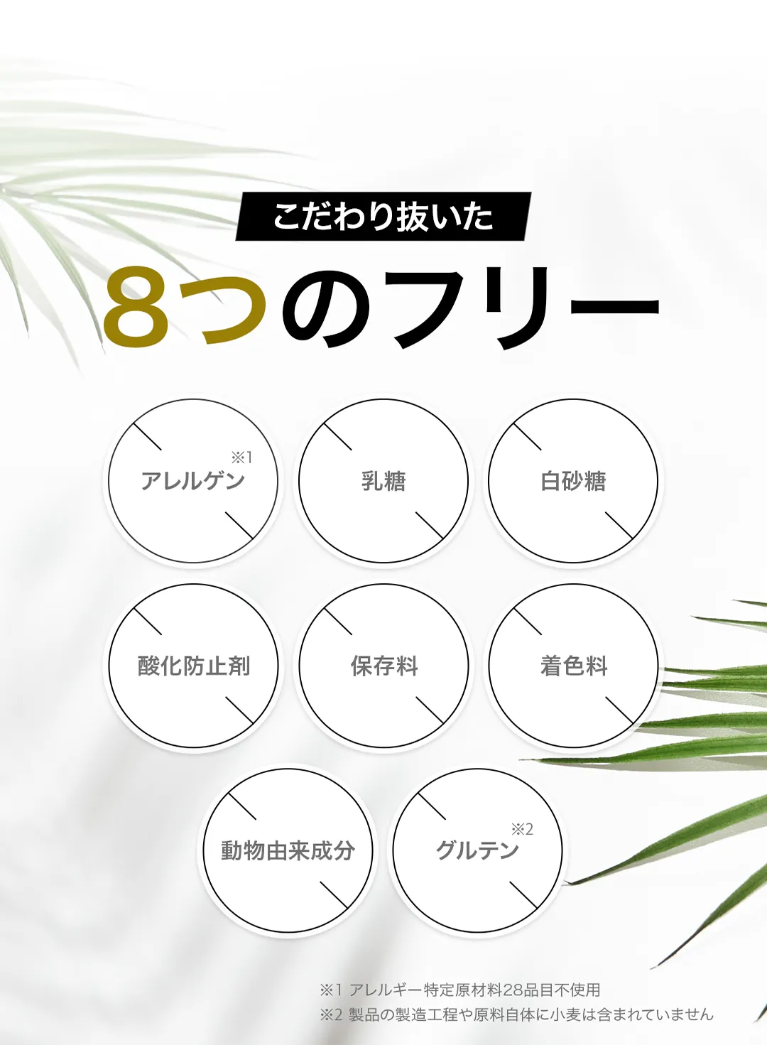 こだわり抜いた9つのフリー