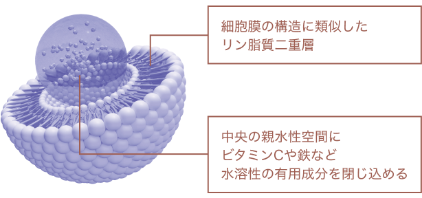 時間差リポソーム技術