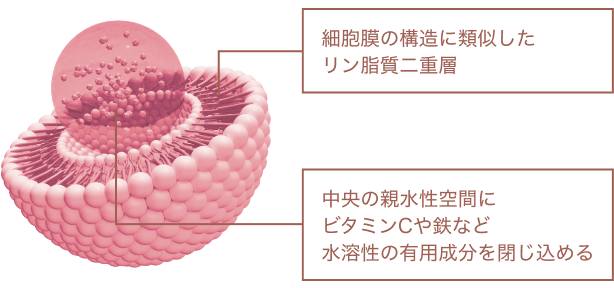 時間差リポソーム技術