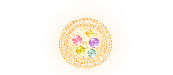 4種の発酵ブレンド