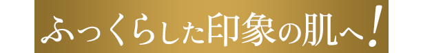 ふっくらした印象の肌へ