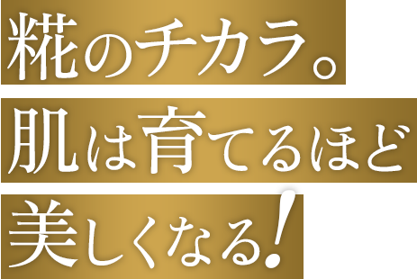 糀のチカラ。