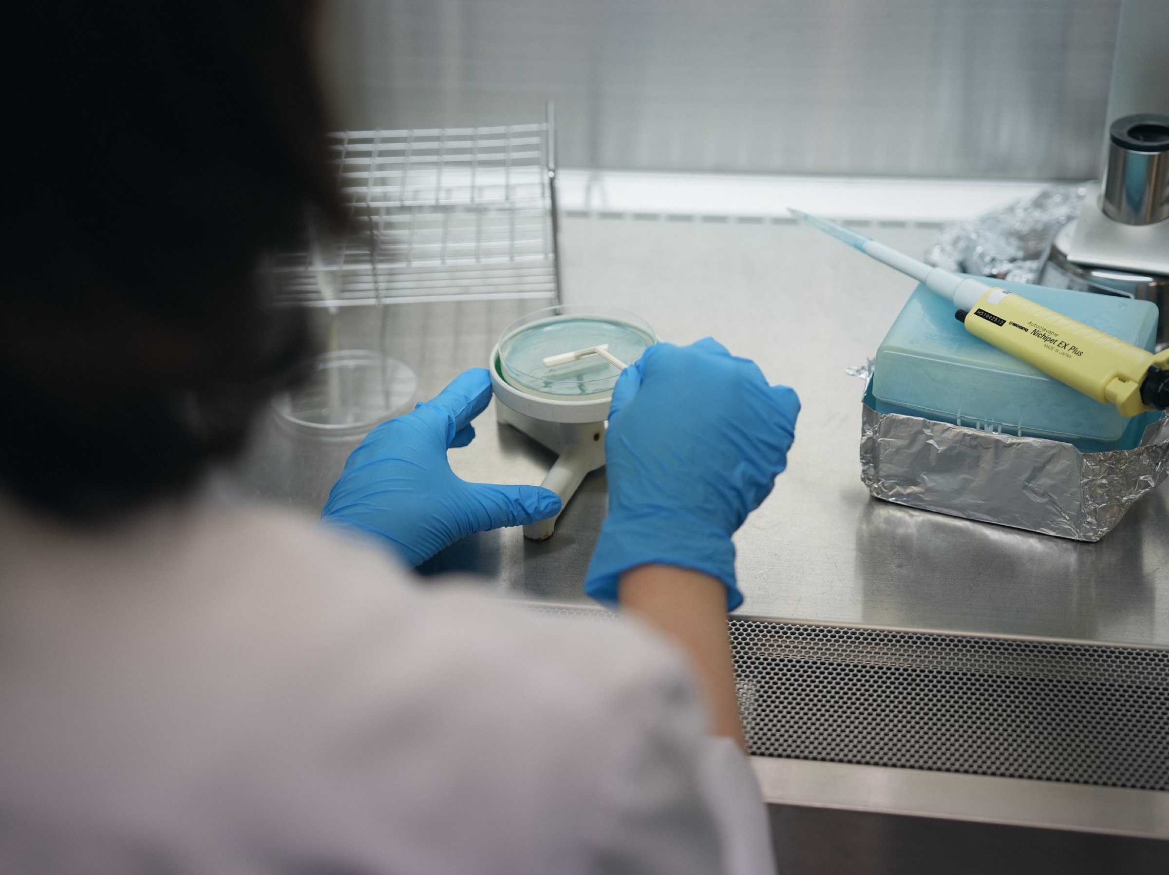 クリーンベンチでシャーレを扱い、菌の特性を確かめる研究者