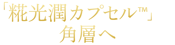 糀光潤カプセルは角層へ