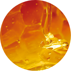 発酵ハチミツ*1