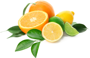 シトラス&リーフの香り