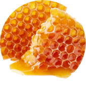 マヌカハニーエキス*2