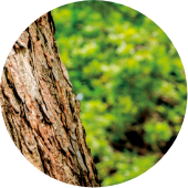 エバーマット*2