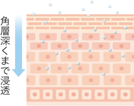 マイクロエマルジョン技術