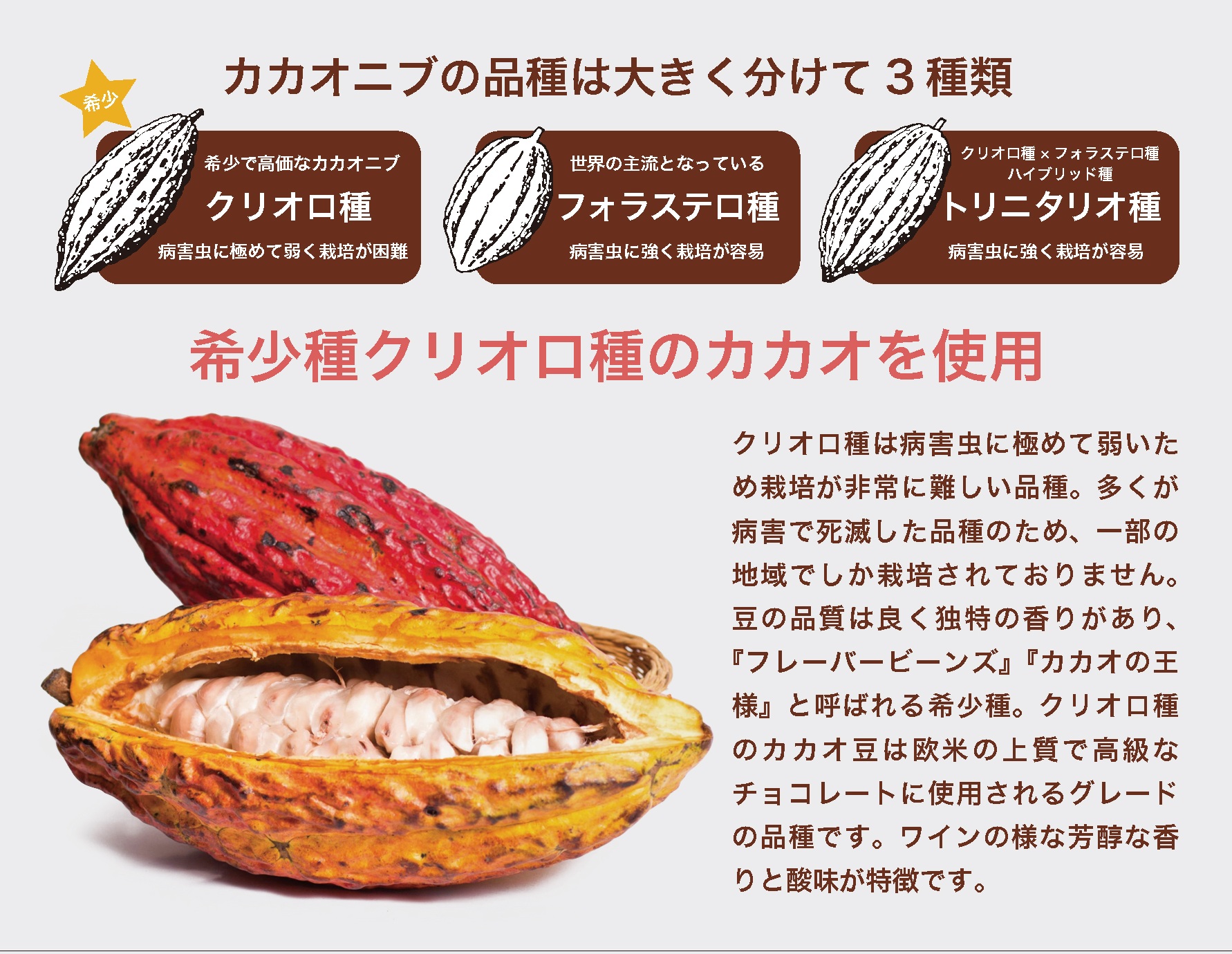 ☆カカオ商品☆よろしければご購入お待ちしております♪ 希少種クリオロ種のカカオスーパーフード専門店｜カカ男とカカ子