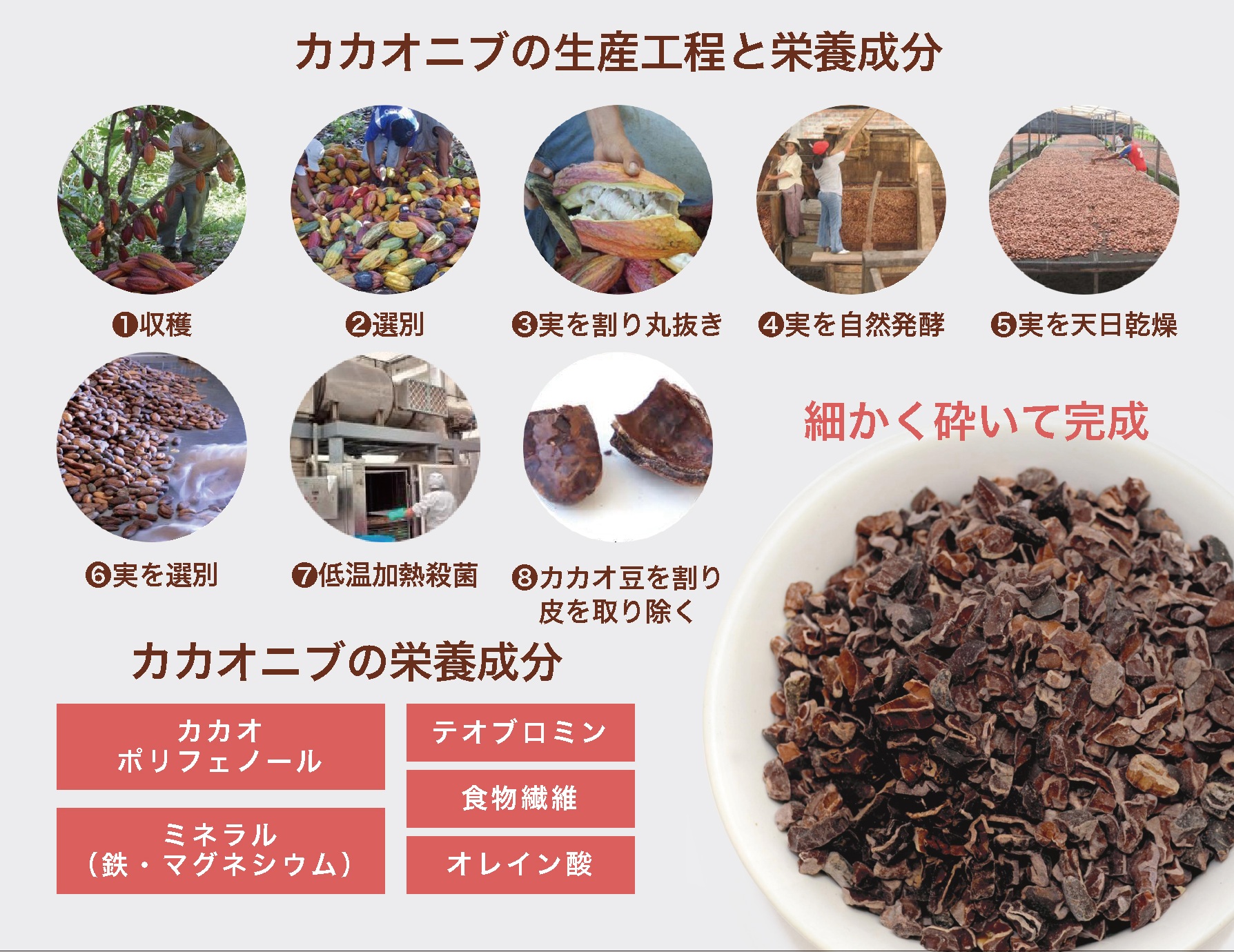 希少種クリオロ種のカカオスーパーフード専門店｜カカ男とカカ子