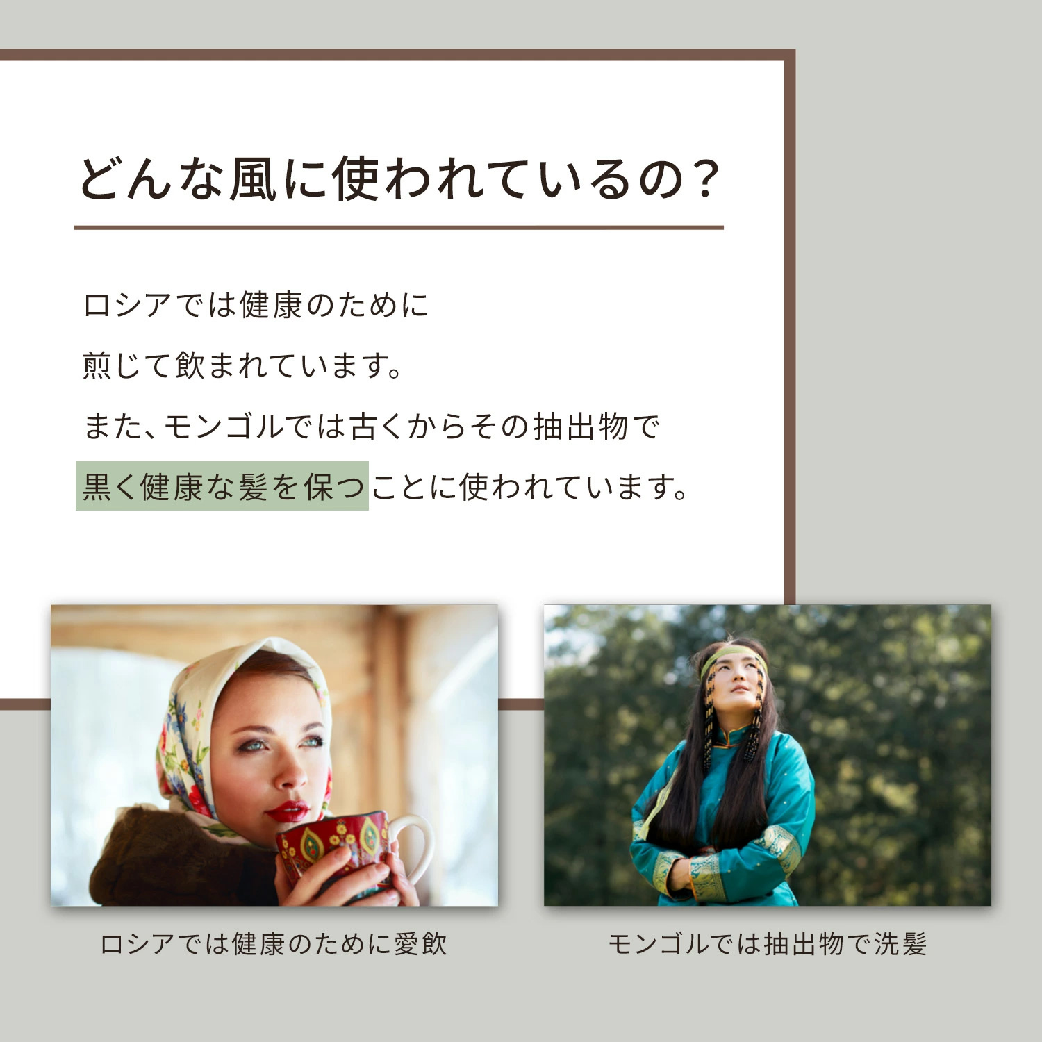 ザ・チャーガ 薬用スカルプシャンプー 290mL