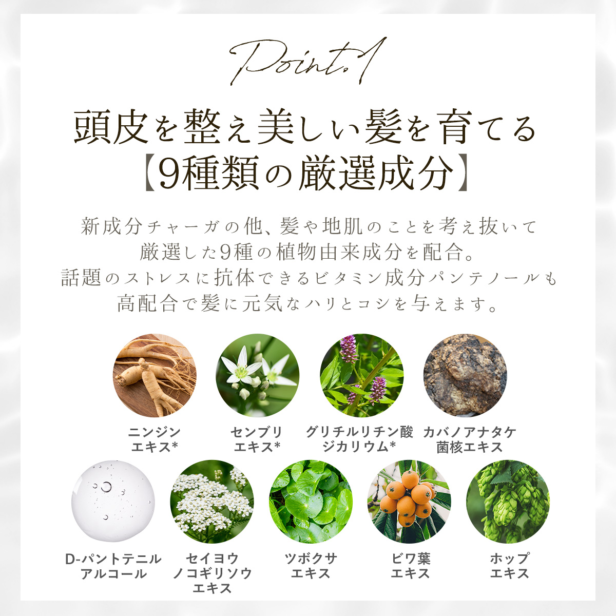 ■ザ・チャーガ 薬用育毛剤 120mL