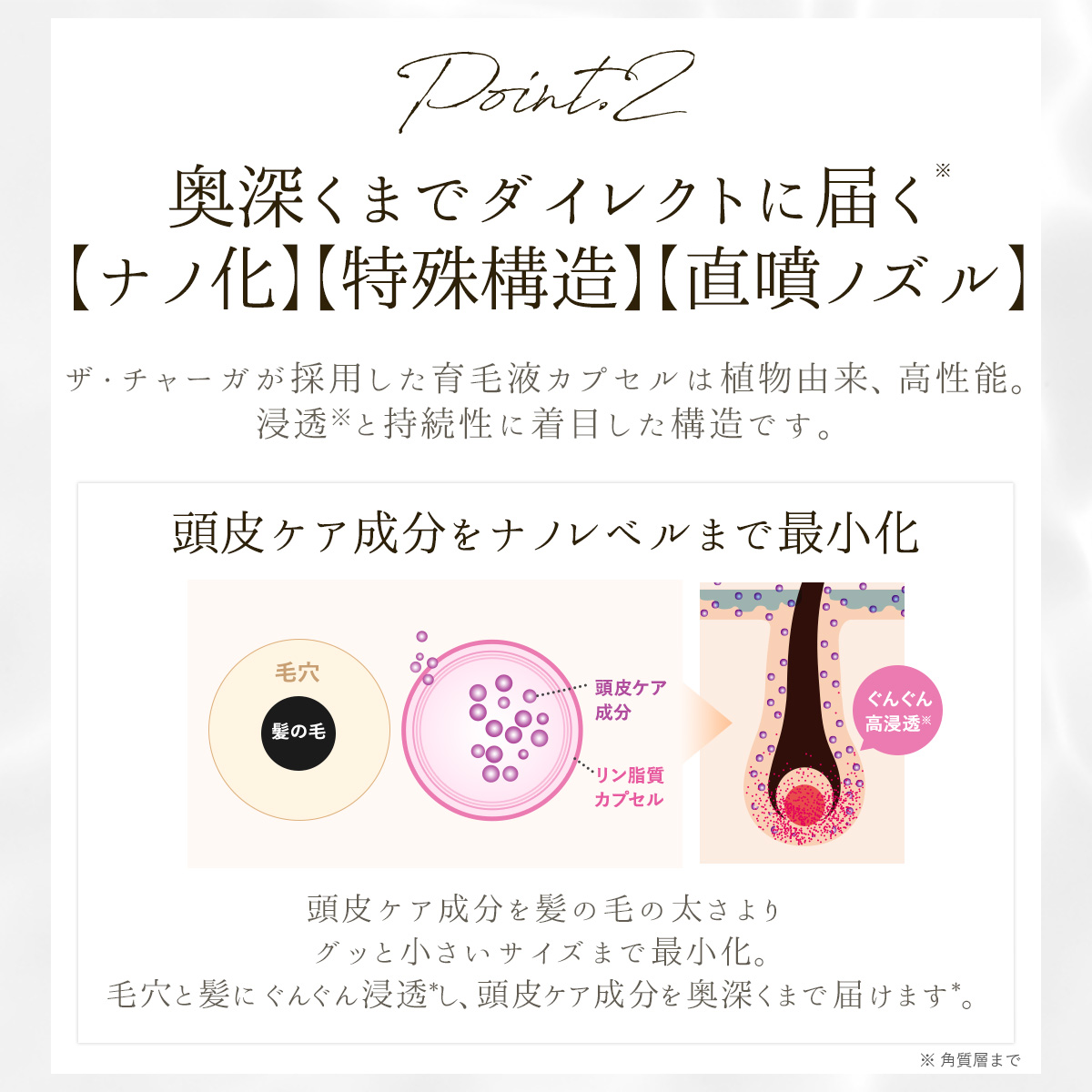 ■ザ・チャーガ 薬用育毛剤 120mL