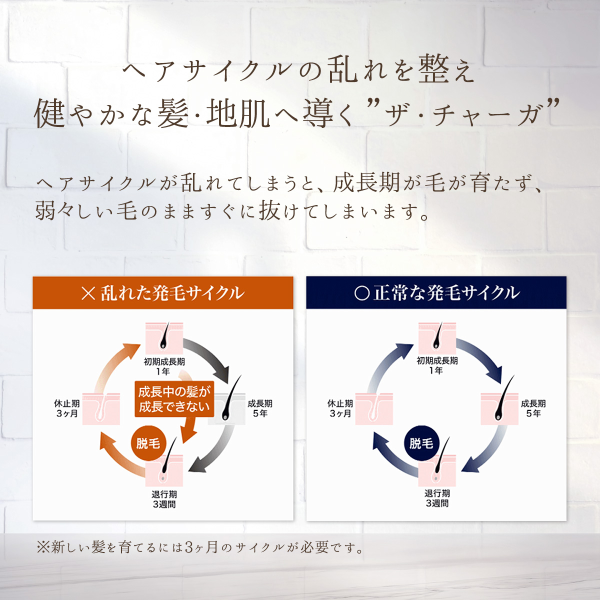 ■ザ・チャーガ 薬用育毛剤 120mL