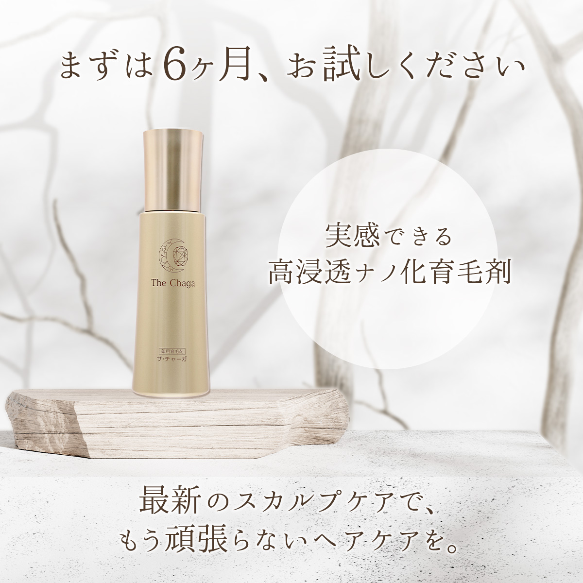■ザ・チャーガ 薬用育毛剤 120mL