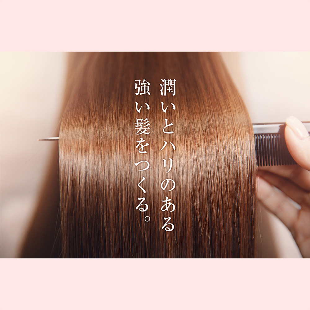 ザ・チャーガ ヘアトリートメント 250g