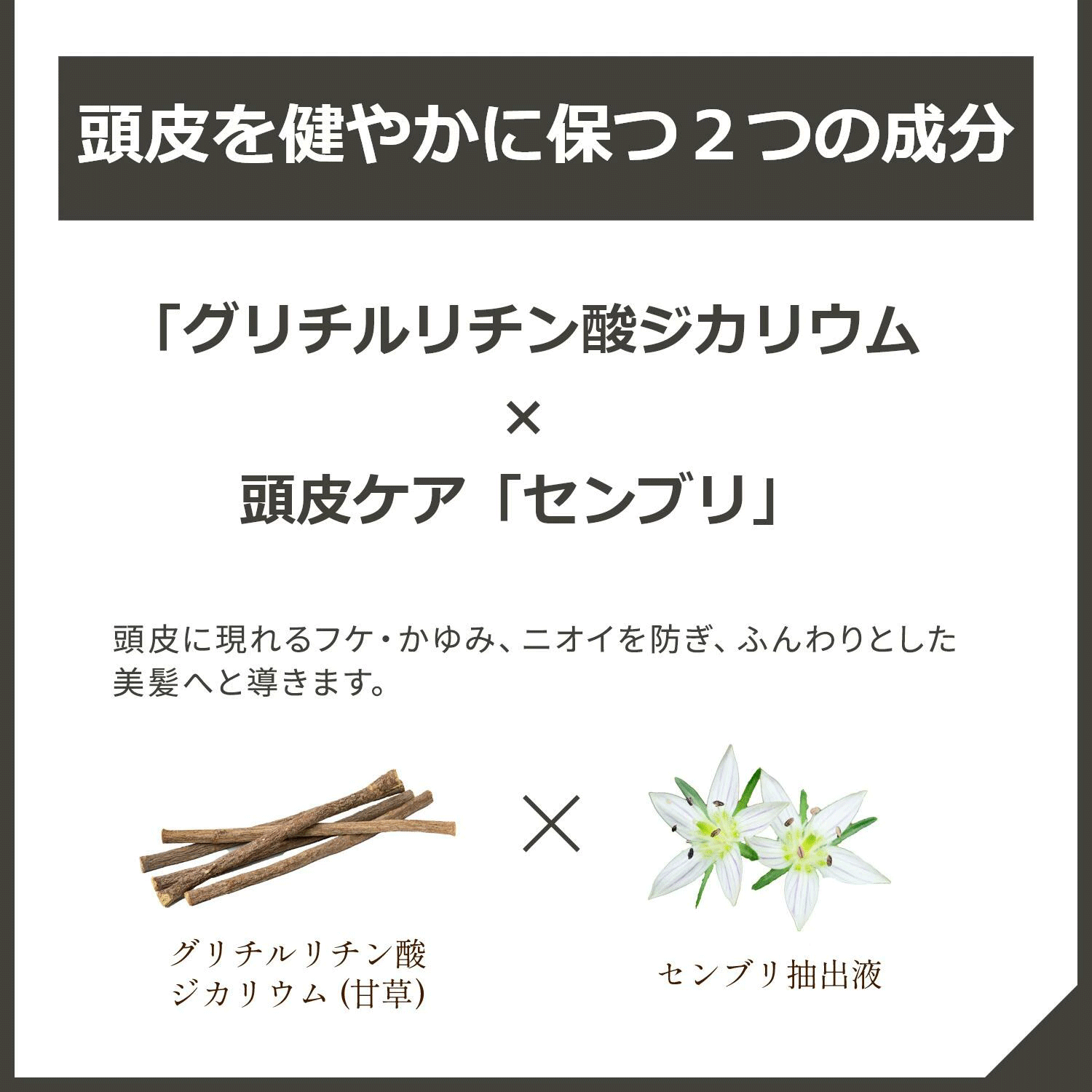 ザ・チャーガ 薬用スカルプシャンプー 290mL
