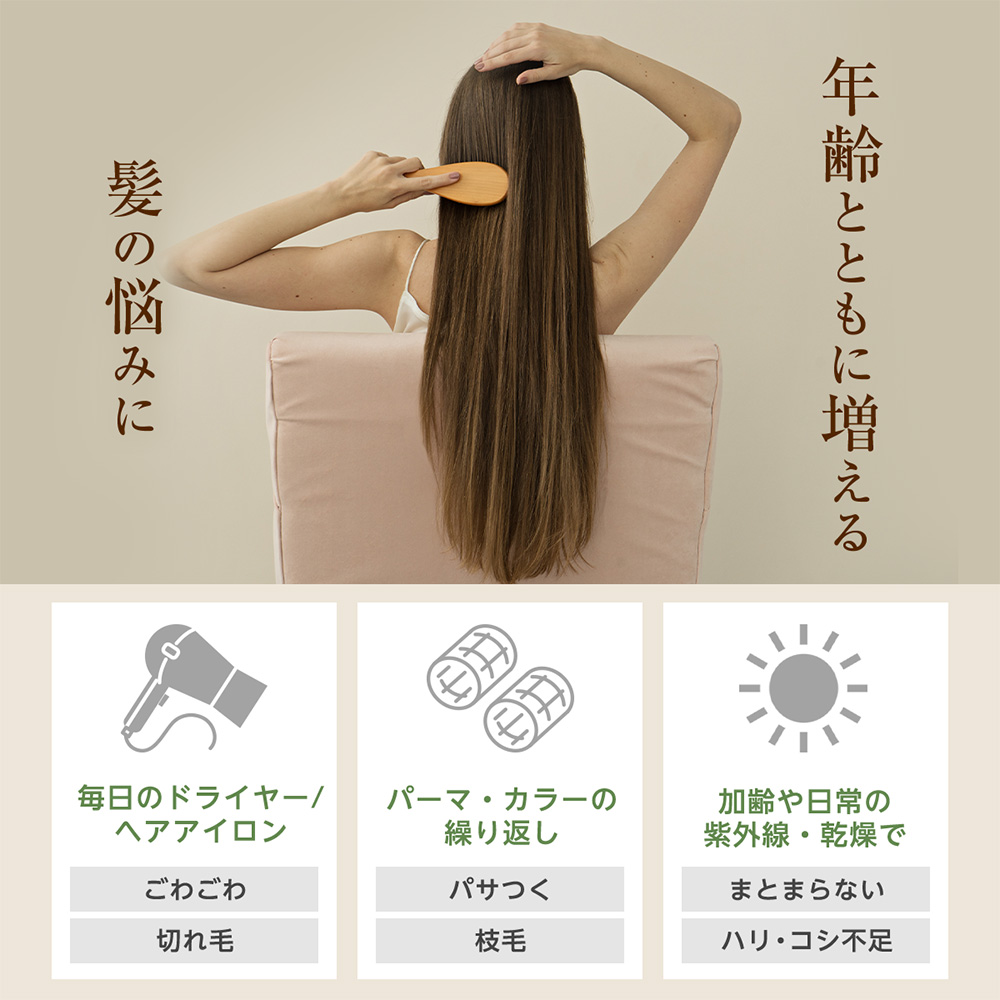 ザ・チャーガ ヘアトリートメント 250g