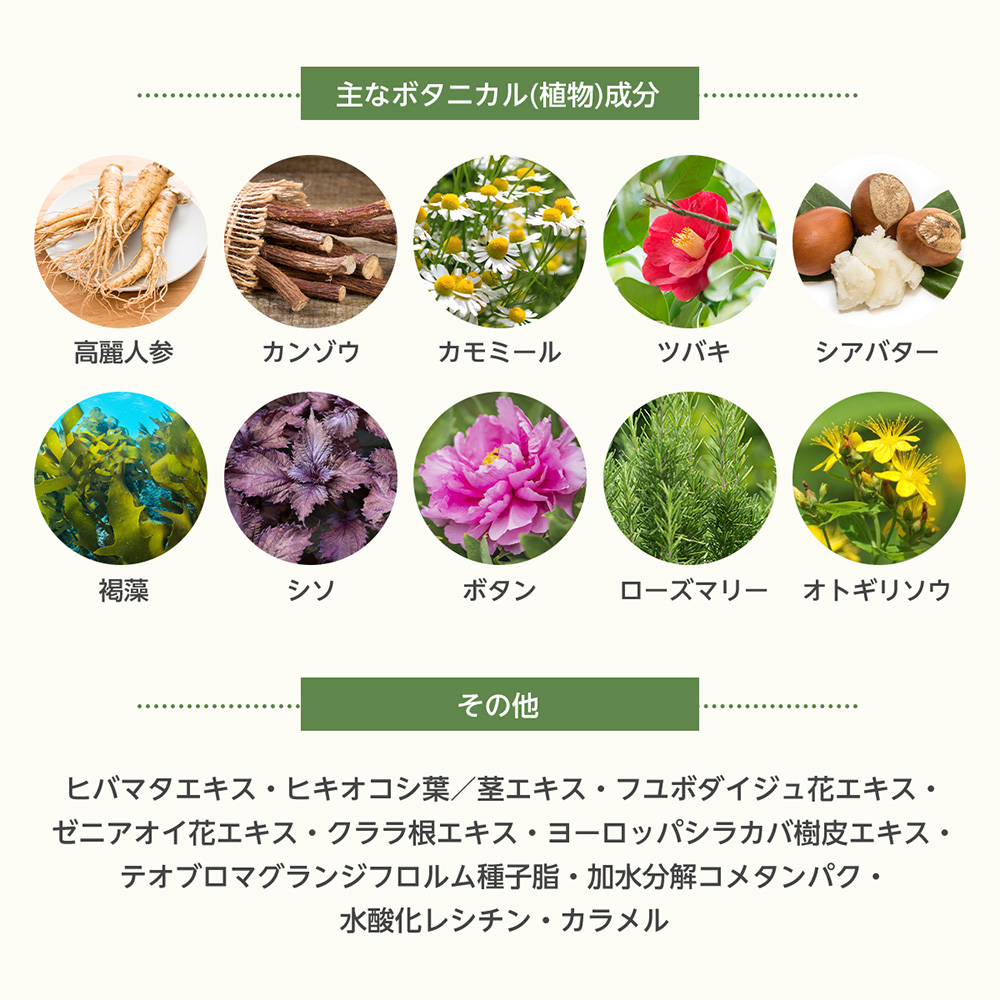 ザ・チャーガ ヘアトリートメント 250g